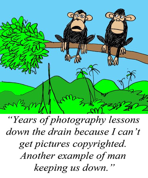 'Years of photography lessons down the drain because I can't get pictures copyrighted.  Another example of man keeping us down."