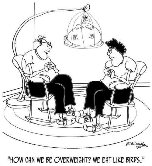 "How can we be overweight? We eat like birds."