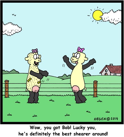 'Wow, you got Bob! Lucky you, he's definitely the best shearer around!'