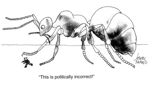 "This is politically incorrect!"