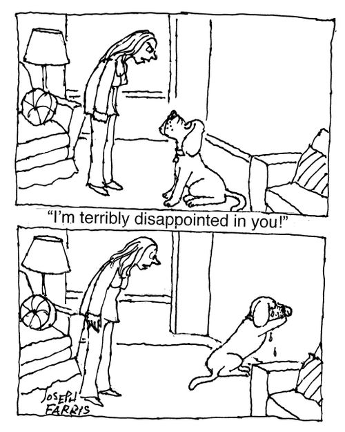 "I'm terribly disappointed in you!"