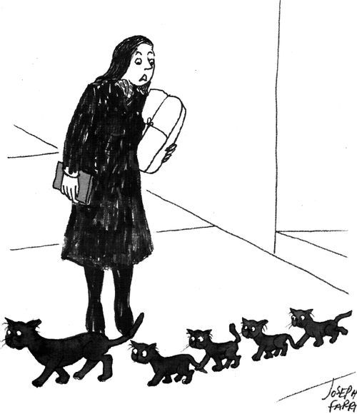 Five black cats and a superstitious woman.