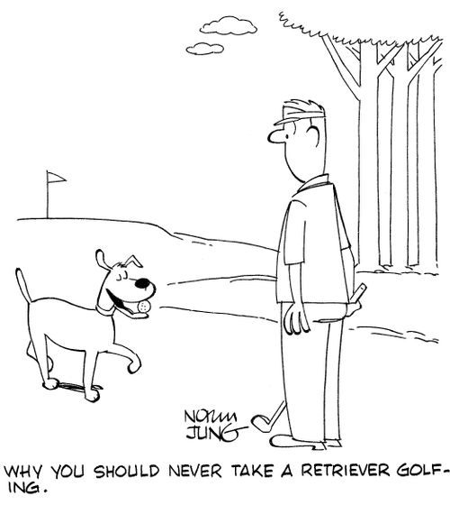 Why you should never take a retriever golfing.