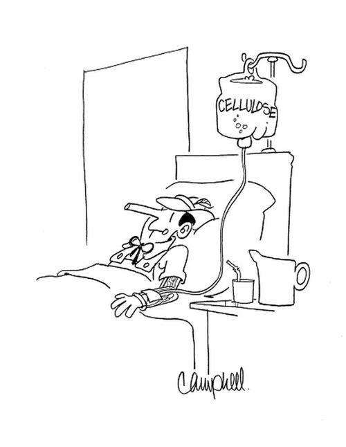 Pinocchio receives IV of cellulose