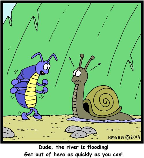 'Dude, the river is flooding! Get out of here as quickly as you can!'