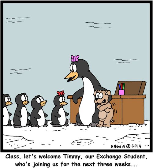 'Class, let's welcome Timmy, our Exchange Student, who's joining us for the next three weeks...'