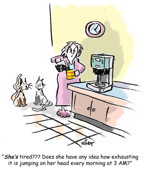 'She's tired??? Does she have any idea how exhausting it is jumping on her head every morning at 3 AM?'