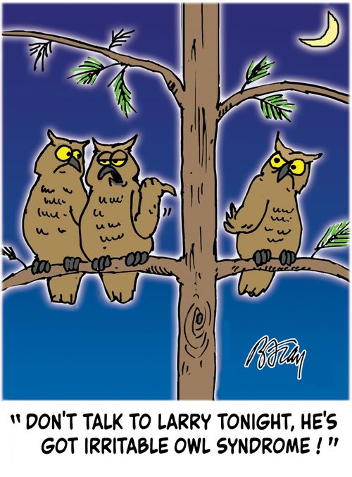 "Don't talk to Larry tonight, he's got irritable owl syndrome!"