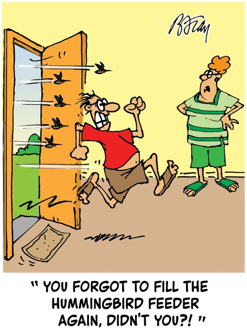 "You forgot to fill the hummingbird feeder again, didn't you?"