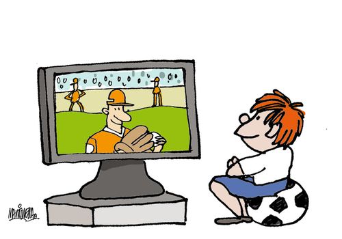Sports Fan.