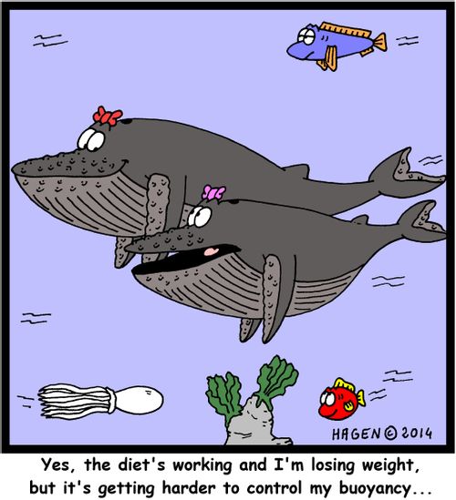 'Yes, the diet's working and I'm losing weight, but it's getting harder to control my buoyancy...'