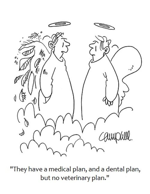 "They have a medical plan, and a dental plan, but no veterinary plan."