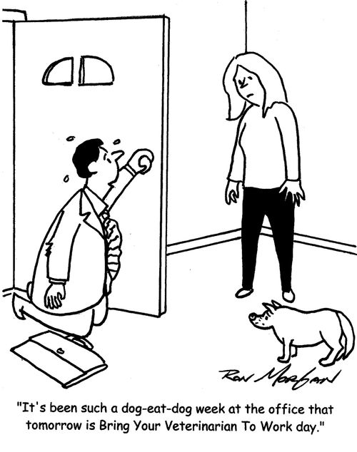 "It's been such a dog-eat-dog week at the office that tomorrow is Bring Your Veterinarian To Work day."