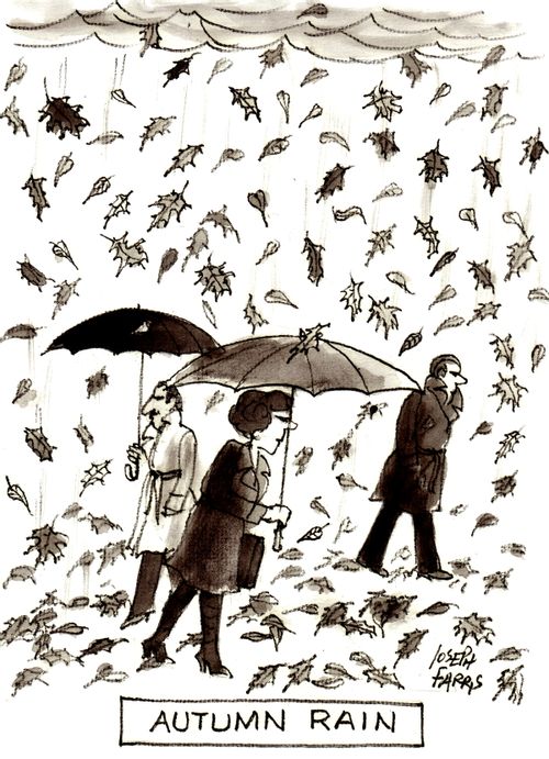 Autumn Rain