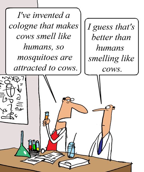 "I've invented a cologne that makes cow smell like humans, so mosquitoes are attracted to cows." 