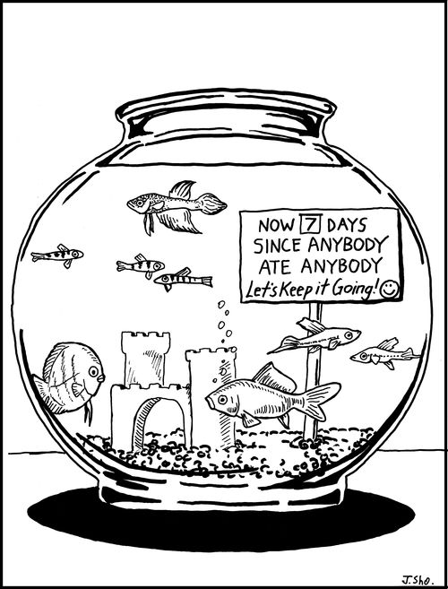Now 7 days since anybody ate anybody. Let's keep it going!