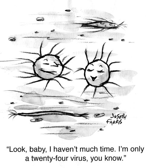 "Look, baby, I haven't much time. I'm only a twenty-four virus, you know."