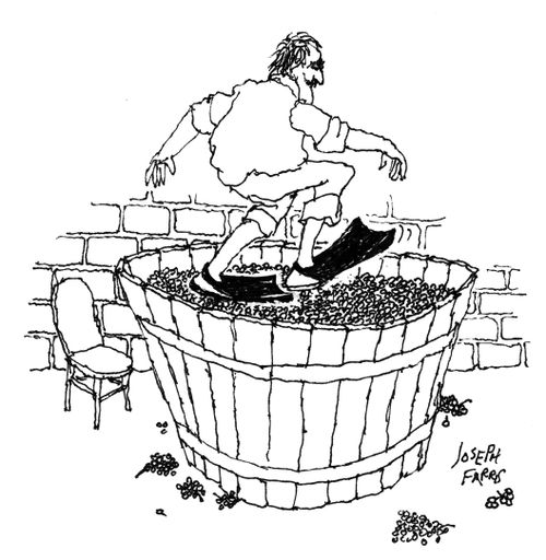 Man crushing grapes with flippers.