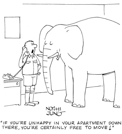 "If you're unhappy in your apartment down there, you're certainly free to move!"