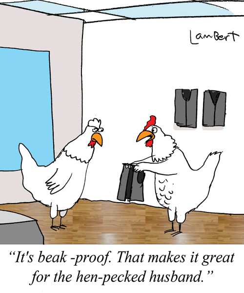 "It's beak-proof. That makes it perfect for the hen-pecked husband."