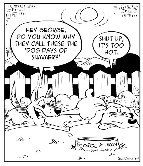 'Hey George, do you know why they call these the 'Dog Days of Summer?''