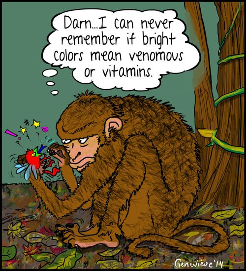 'Darn...I can never remember if bright colors mean venomous or vitamins.'