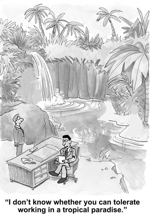 "I don't know whether you can tolerate working in a tropical paradise."