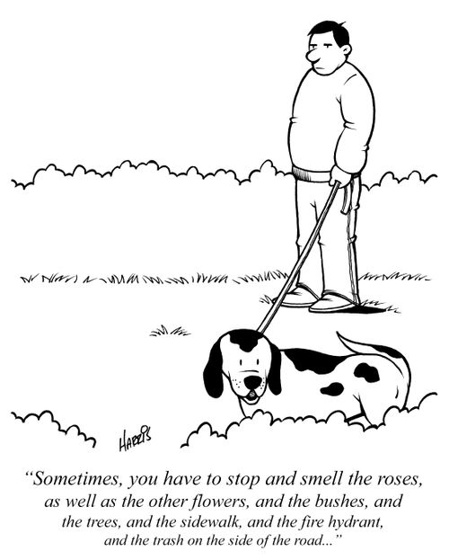 "Sometimes, you have to stop and smell the roses, as well as the other flowers, and the bushes, and the trees, and the sidewalk, and the fire hydrant, and the trash on the side of the road..."