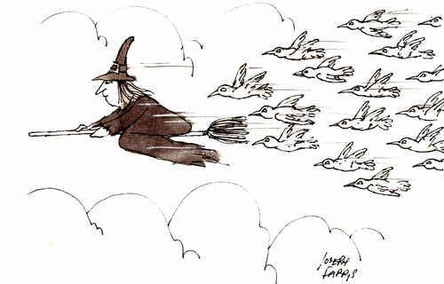 Witch on broom followed by birds.