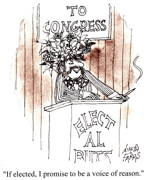 "If elected, I promise to be a voice of reason."