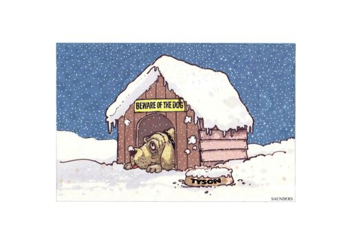 Beware of the Dog.
