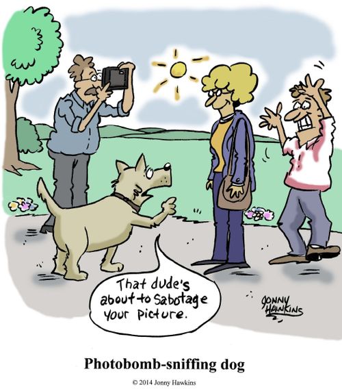 Photobomb-Sniffing Dog