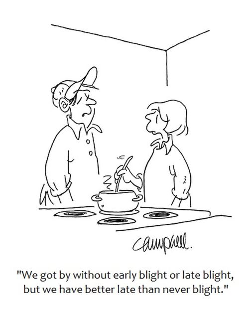 "We got by without early blight or late blight, but we have better late than never blight."