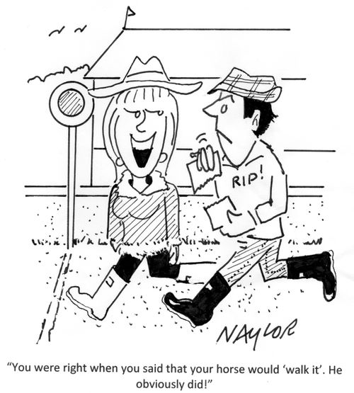 'You were right when you said that your horse would 'walk it'. He obviously did!'