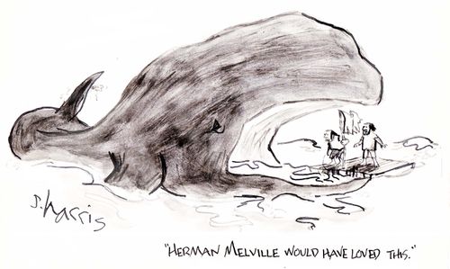 "Herman Melville would have loved this."