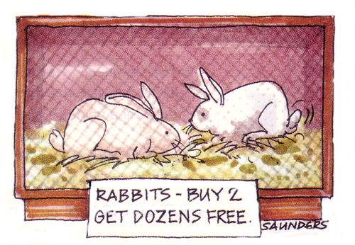 Rabbits - Buy 2 get dozens free.