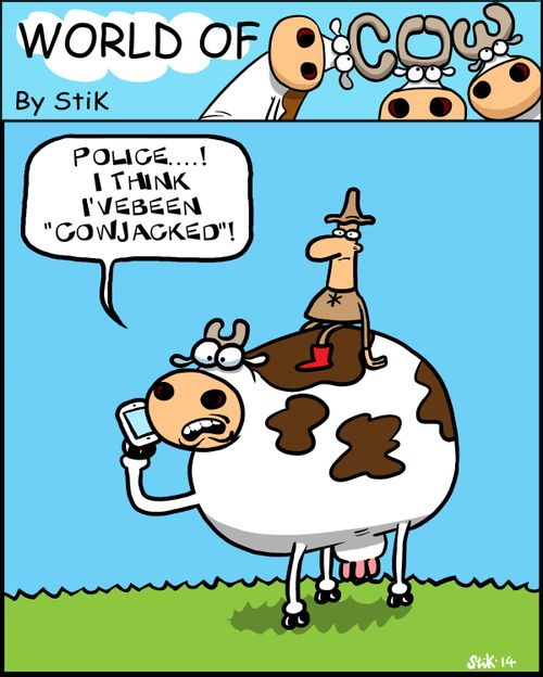 'Police....! I think I've been 'cowjacked'!'