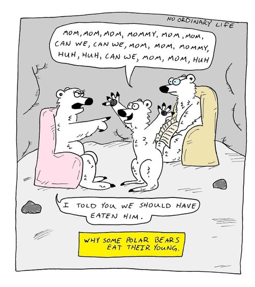 Why some Polar Bears eat their young.
