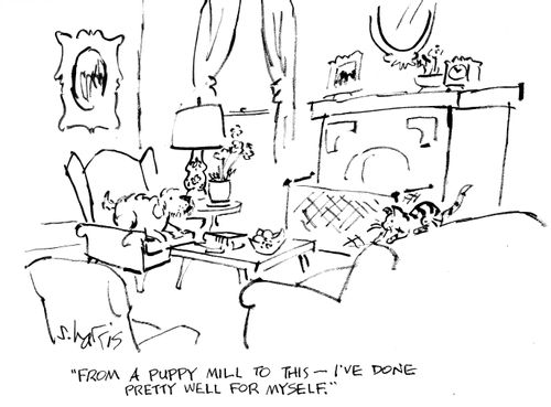 "From a puppy mill to this -  I've done pretty well for myself."