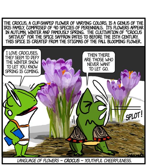 'I love crocuses. They seem to defy the winter snow to let you know spring is coming.'