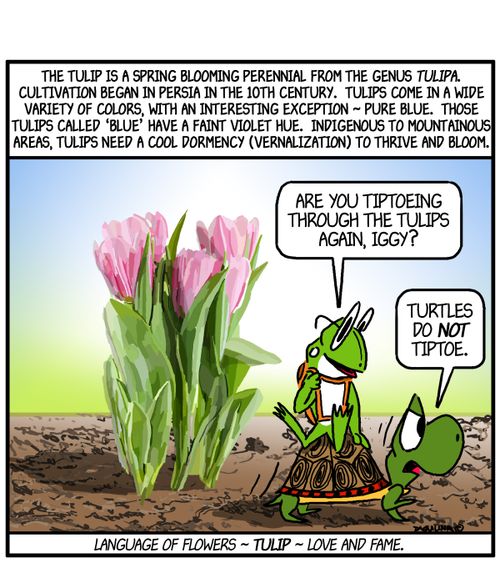 'Are you tiptoeing through the tulips again, Iggy?'