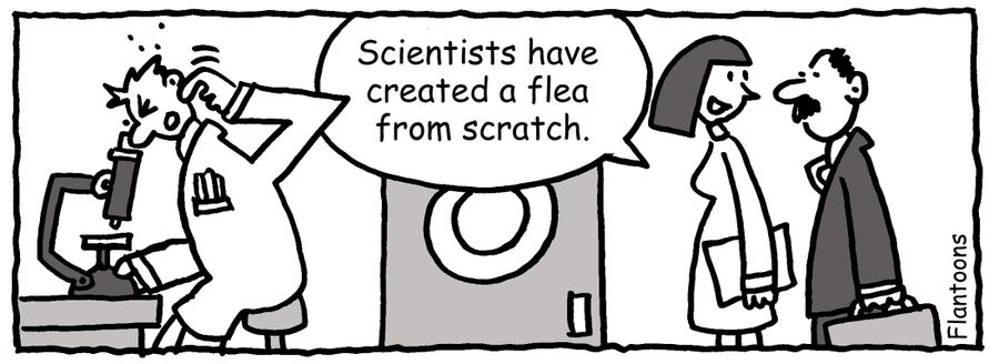 "Scientists have created a flea from scratch."