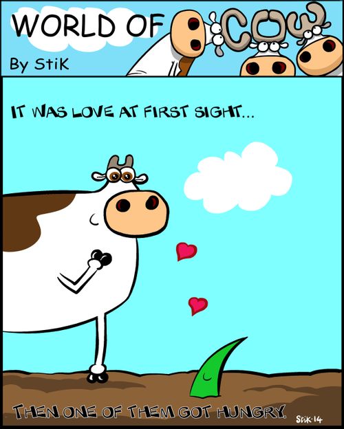It was love at first sight...then one of them got hungry.