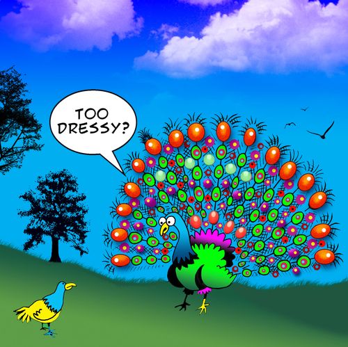 'Too dressy?'