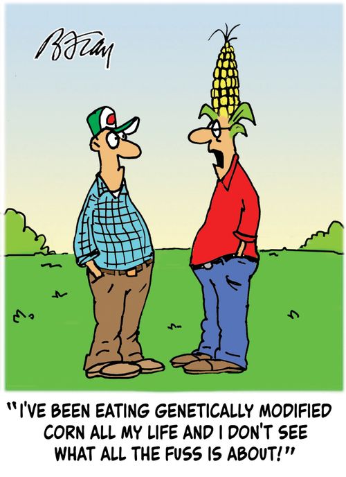 "I've been eating genetically modified corn all my life and I don't see what all the fuss is about!"
