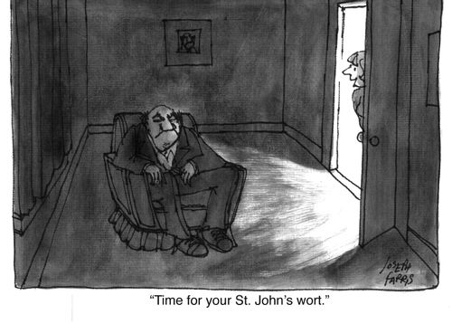 "Time for your St. John's Wort."