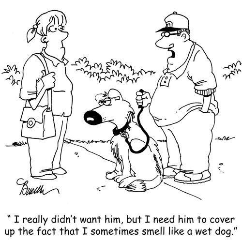 "I really didn't want him, but I need him to cover up the fact that I sometimes smell like a wet dog."