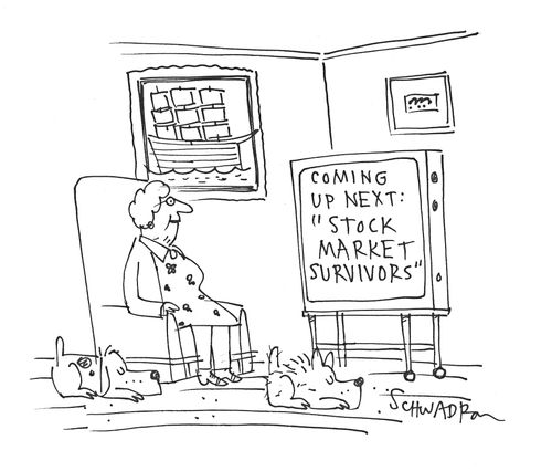 Coming Up Next: 'Stock Market Survivors'.
