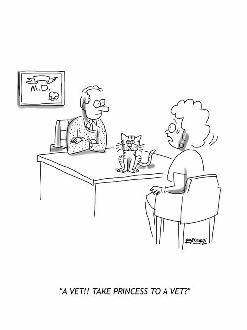 'A vet!! Take Princess to a vet?'