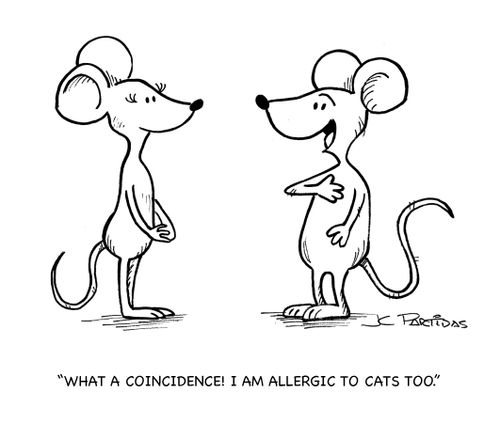 'What a coincidence! I am allergic to cats too.'